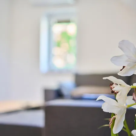Apartmaji Na Posti * Podsreda